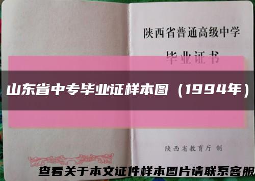 山东省中专毕业证样本图（1994年）缩略图