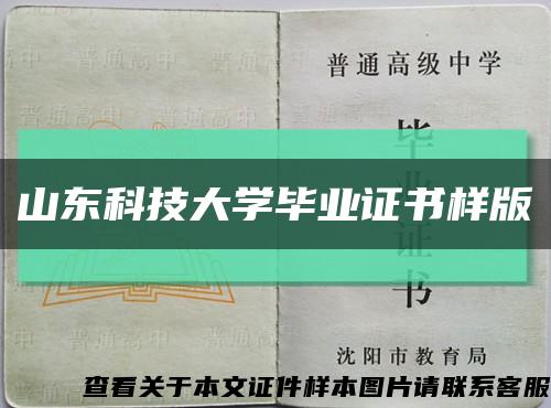 山东科技大学毕业证书样版缩略图