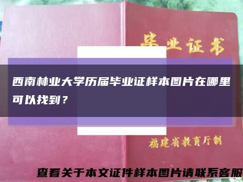 西南林业大学历届毕业证样本图片在哪里可以找到？缩略图