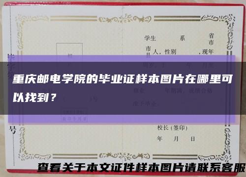 重庆邮电学院的毕业证样本图片在哪里可以找到？缩略图