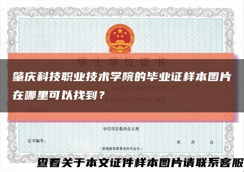 肇庆科技职业技术学院的毕业证样本图片在哪里可以找到？缩略图