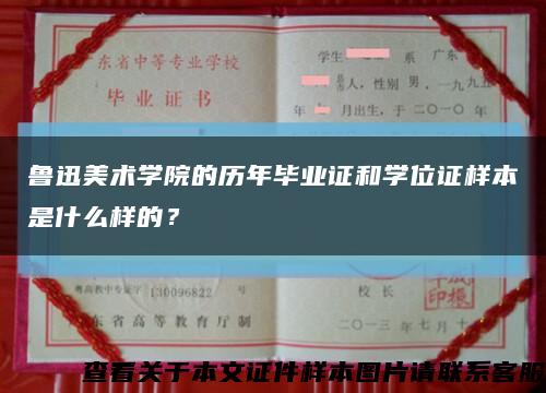 鲁迅美术学院的历年毕业证和学位证样本是什么样的？缩略图