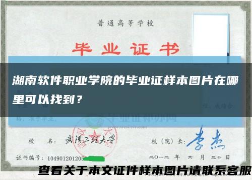 湖南软件职业学院的毕业证样本图片在哪里可以找到？缩略图