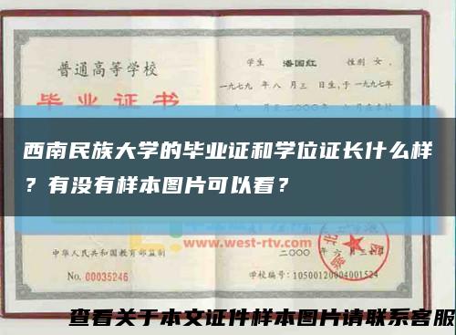 西南民族大学的毕业证和学位证长什么样？有没有样本图片可以看？缩略图