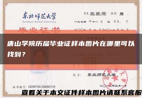 唐山学院历届毕业证样本图片在哪里可以找到？缩略图