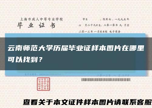 云南师范大学历届毕业证样本图片在哪里可以找到？缩略图