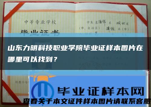 山东力明科技职业学院毕业证样本图片在哪里可以找到？缩略图