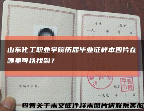 山东化工职业学院历届毕业证样本图片在哪里可以找到？缩略图