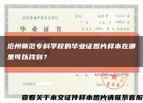沧州师范专科学校的毕业证图片样本在哪里可以找到？缩略图