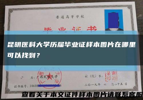 昆明医科大学历届毕业证样本图片在哪里可以找到？缩略图