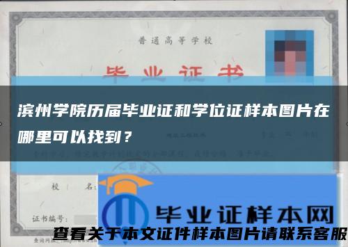 滨州学院历届毕业证和学位证样本图片在哪里可以找到？缩略图