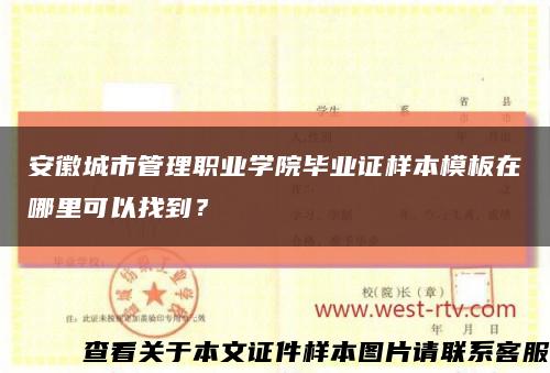 安徽城市管理职业学院毕业证样本模板在哪里可以找到？缩略图