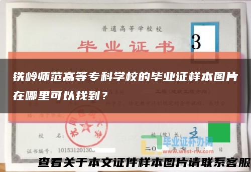 铁岭师范高等专科学校的毕业证样本图片在哪里可以找到？缩略图