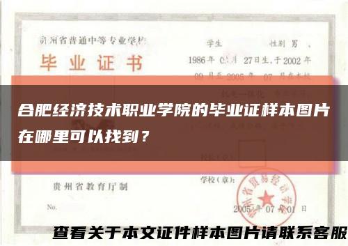 合肥经济技术职业学院的毕业证样本图片在哪里可以找到？缩略图