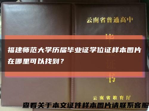 福建师范大学历届毕业证学位证样本图片在哪里可以找到？缩略图