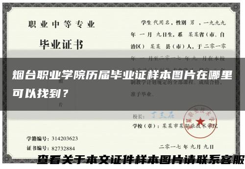 烟台职业学院历届毕业证样本图片在哪里可以找到？缩略图