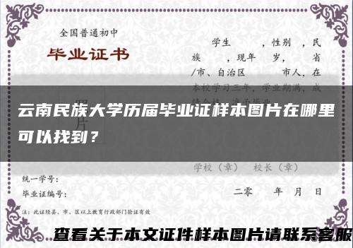 云南民族大学历届毕业证样本图片在哪里可以找到？缩略图