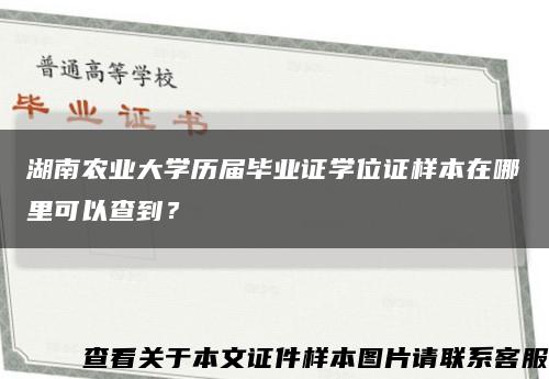 湖南农业大学历届毕业证学位证样本在哪里可以查到？缩略图