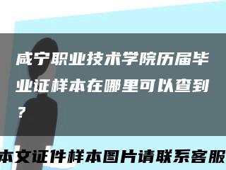 咸宁职业技术学院历届毕业证样本在哪里可以查到？缩略图