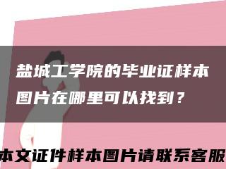 盐城工学院的毕业证样本图片在哪里可以找到？缩略图