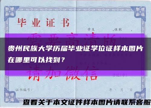 贵州民族大学历届毕业证学位证样本图片在哪里可以找到？缩略图