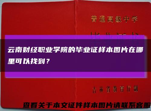 云南财经职业学院的毕业证样本图片在哪里可以找到？缩略图