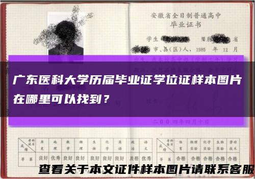 广东医科大学历届毕业证学位证样本图片在哪里可以找到？缩略图