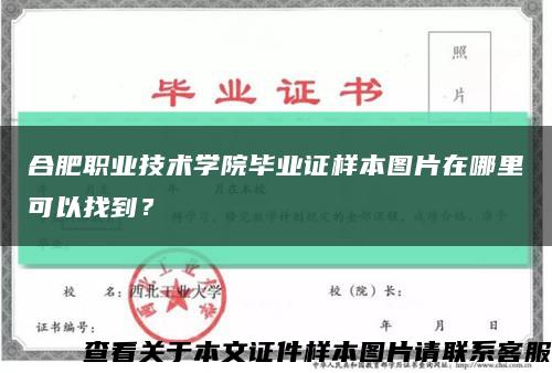 合肥职业技术学院毕业证样本图片在哪里可以找到？缩略图