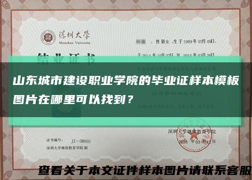 山东城市建设职业学院的毕业证样本模板图片在哪里可以找到？缩略图