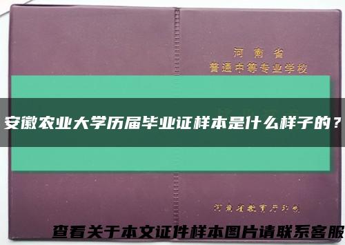 安徽农业大学历届毕业证样本是什么样子的？缩略图