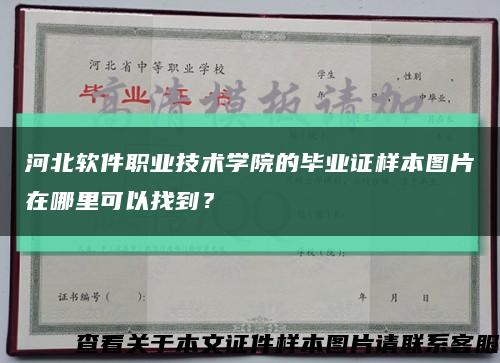 河北软件职业技术学院的毕业证样本图片在哪里可以找到？缩略图