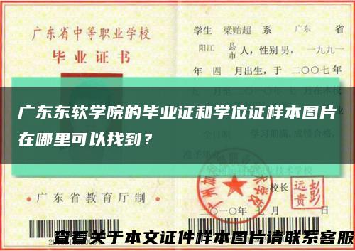 广东东软学院的毕业证和学位证样本图片在哪里可以找到？缩略图