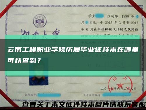 云南工程职业学院历届毕业证样本在哪里可以查到？缩略图