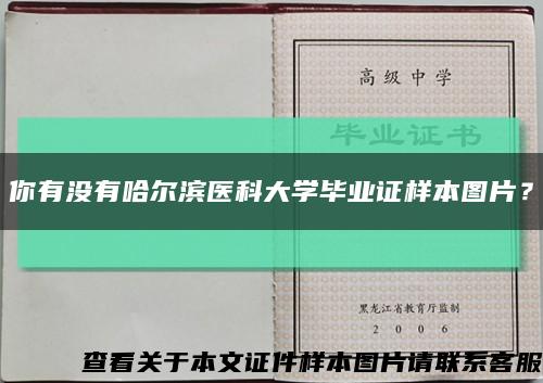 你有没有哈尔滨医科大学毕业证样本图片？缩略图