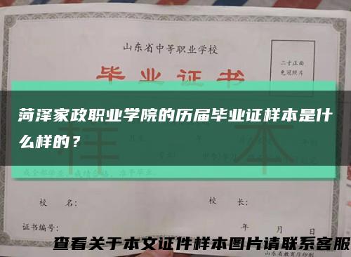 菏泽家政职业学院的历届毕业证样本是什么样的？缩略图