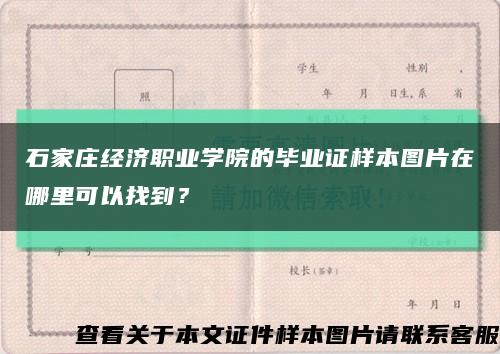 石家庄经济职业学院的毕业证样本图片在哪里可以找到？缩略图