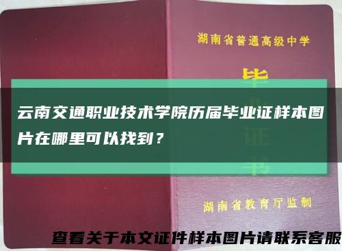 云南交通职业技术学院历届毕业证样本图片在哪里可以找到？缩略图