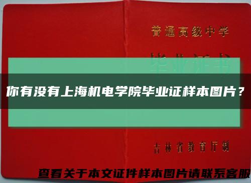 你有没有上海机电学院毕业证样本图片？缩略图