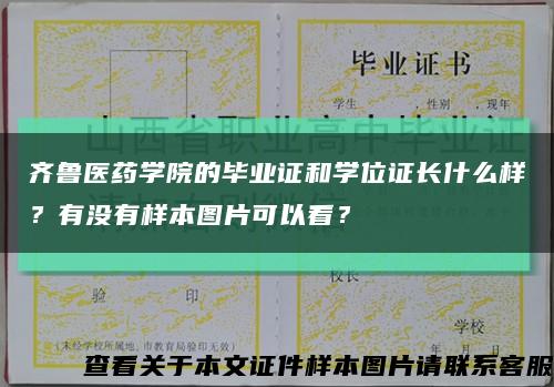 齐鲁医药学院的毕业证和学位证长什么样？有没有样本图片可以看？缩略图