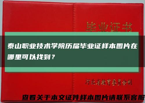 泰山职业技术学院历届毕业证样本图片在哪里可以找到？缩略图