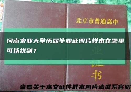 河南农业大学历届毕业证图片样本在哪里可以找到？缩略图