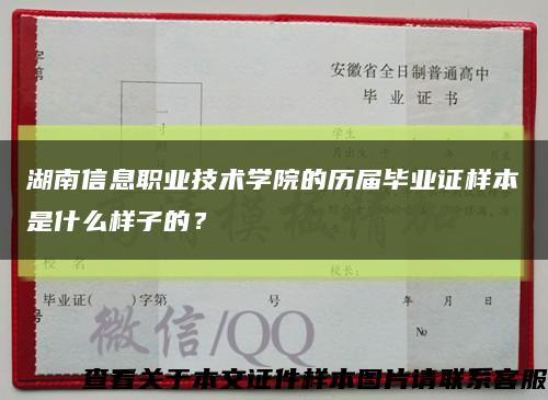 湖南信息职业技术学院的历届毕业证样本是什么样子的？缩略图