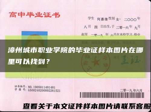 漳州城市职业学院的毕业证样本图片在哪里可以找到？缩略图