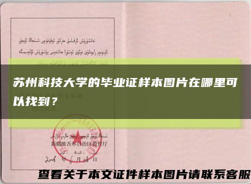 苏州科技大学的毕业证样本图片在哪里可以找到？缩略图