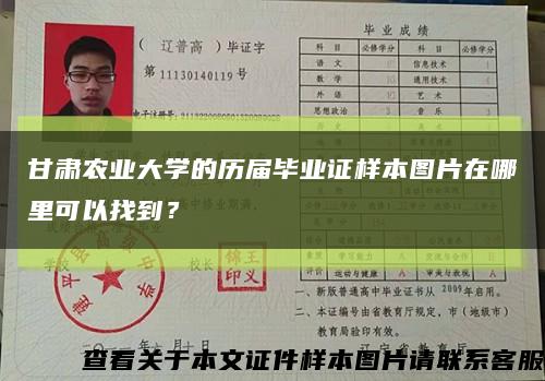 甘肃农业大学的历届毕业证样本图片在哪里可以找到？缩略图