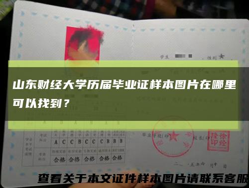 山东财经大学历届毕业证样本图片在哪里可以找到？缩略图