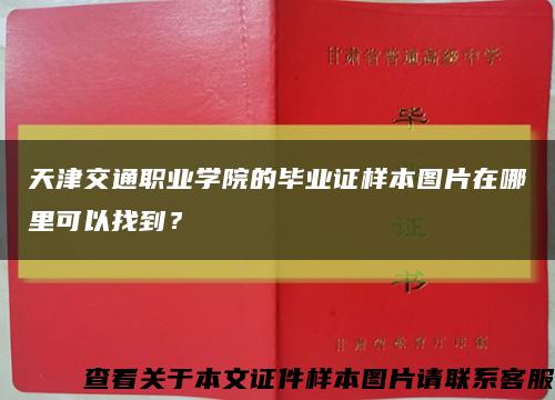 天津交通职业学院的毕业证样本图片在哪里可以找到？缩略图