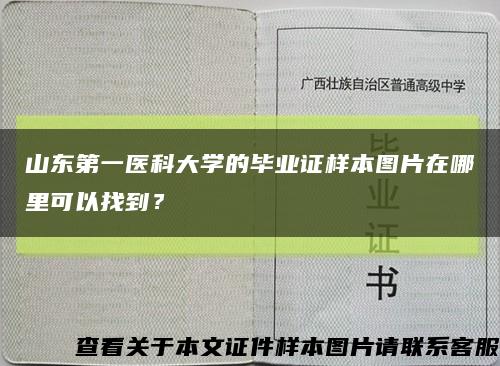 山东第一医科大学的毕业证样本图片在哪里可以找到？缩略图