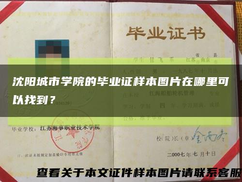 沈阳城市学院的毕业证样本图片在哪里可以找到？缩略图