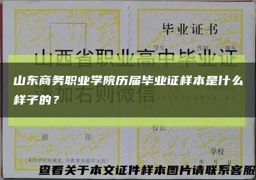 山东商务职业学院历届毕业证样本是什么样子的？缩略图